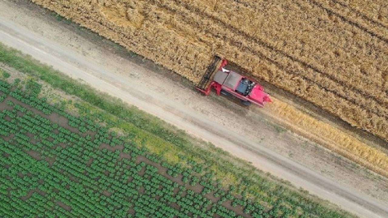 12,5 milyar liranın üzerinde cirosu vardı: Türk tarım devi iflasın eşiğinde 3